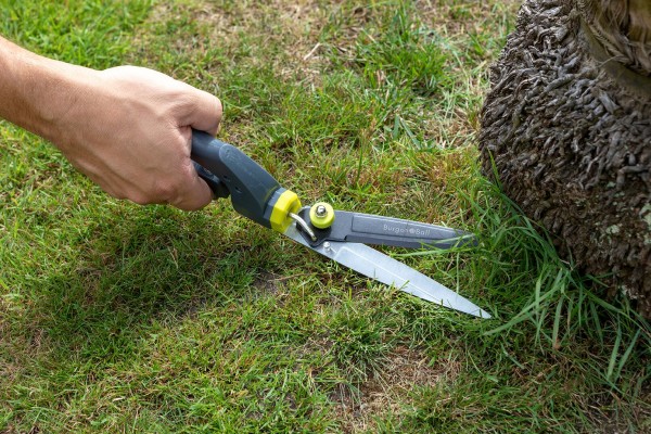 Grasschere / RHS - empfohlen