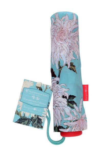 Regenschirm Chrysantheme