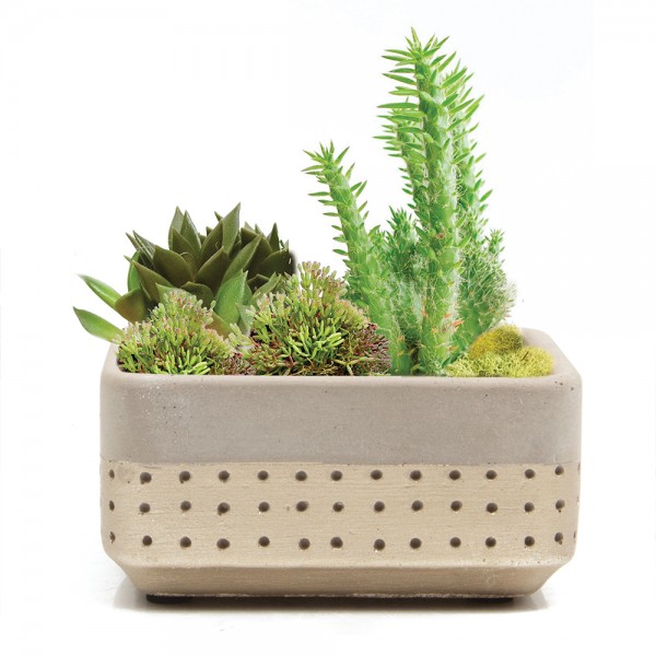 Mini-Pflanzschale Meraki