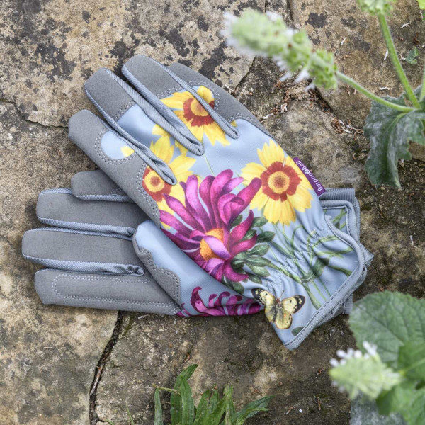 Sommeraster | Gartenhandschuhe