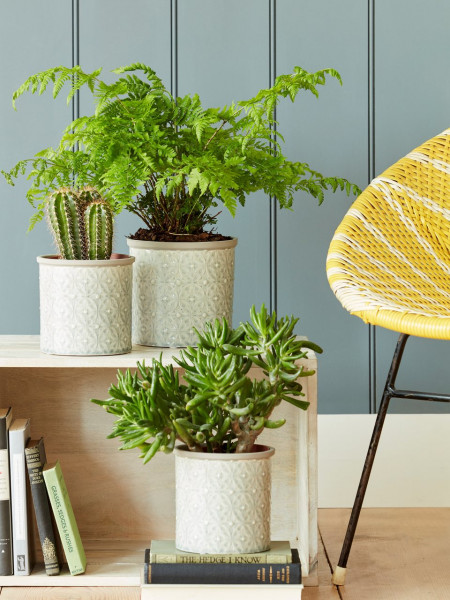 Blumen-Übertöpfe Porto Grau - klein und groß