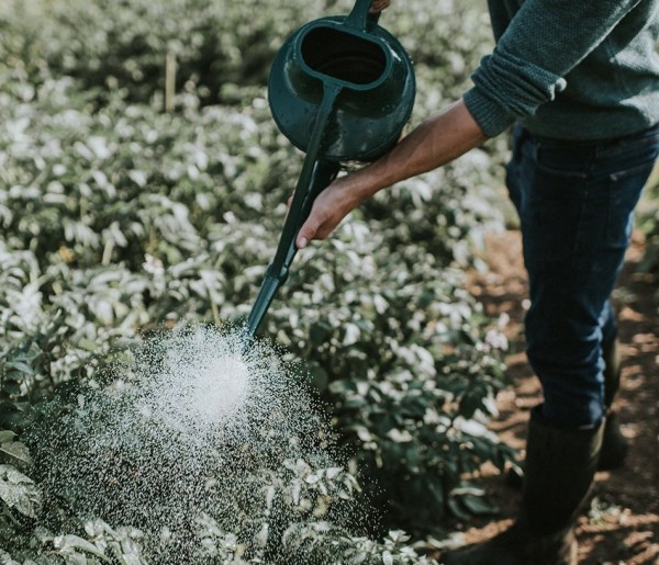 Kunststoff-Gießkanne Cascader | 1,5 Gallon - ca. 7 Liter