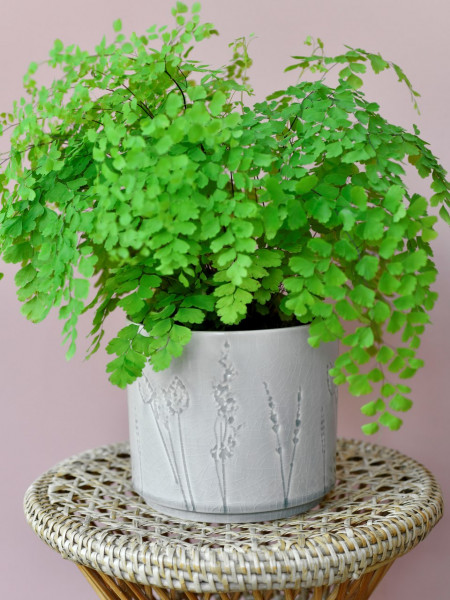 Indoor-Topf PROVENCE groß | von Burgon & Ball