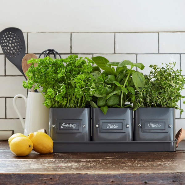 Burgon & Ball | Herb Pots in a Tray | Charcoal