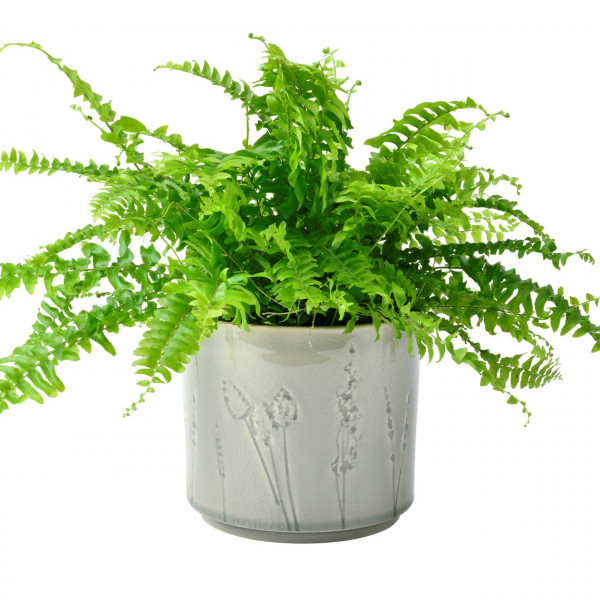 Übertopf PROVENCE | 2 Größen