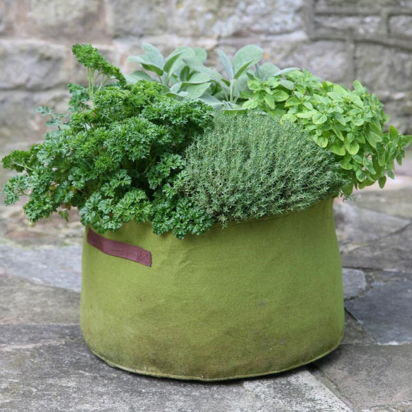 Vigoroot Kräuter-Pflanztasche | Haxnicks