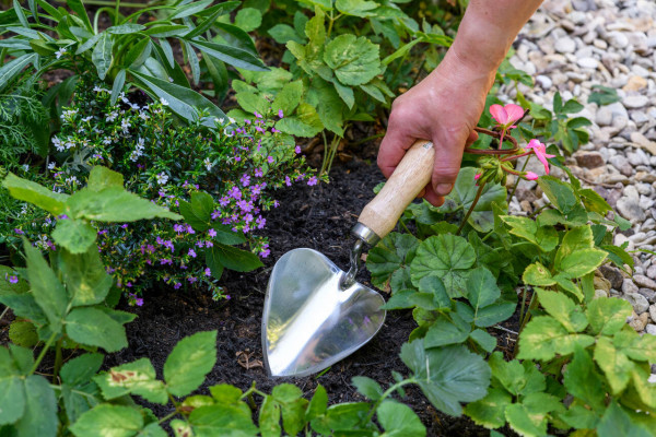 Herzförmige Pflanzschaufel | aus England