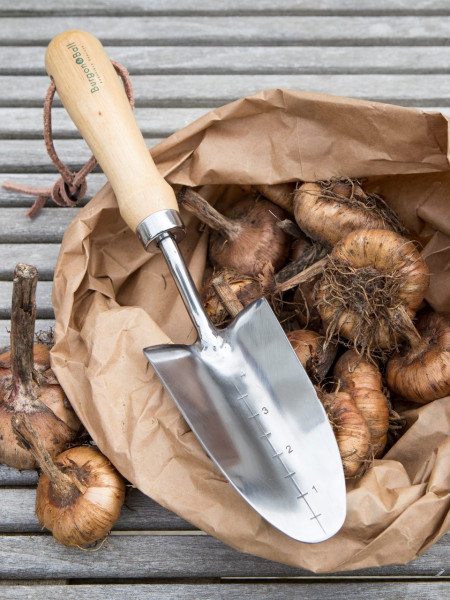 Pflanzkelle von Burgon & Ball | RHS-empfohlen