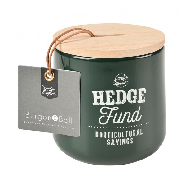 Hedge Fund Money Box - Frog