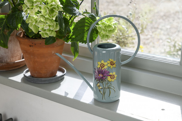 von Burgon & Ball | Zimmergießkanne im RHS-Design Asteraceae - Korbblütler