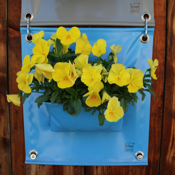 Hänge-Pflanztasche Peva, blau