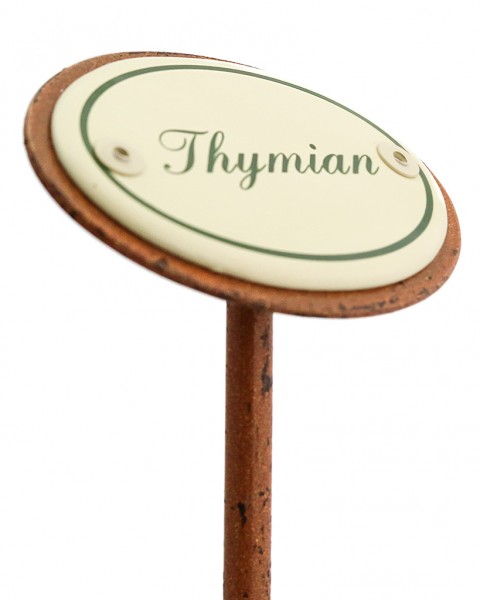 Kräuterstecker Thymian seitlich