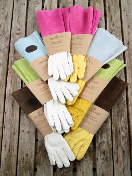 Bradley's Raulederhandschuhe | 4 Farbvarianten