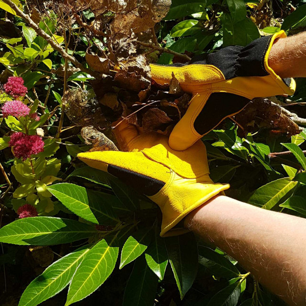 Warm gefütterte Leder-Gartenhandschuhe | Winter Touch™ von Gold Leaf