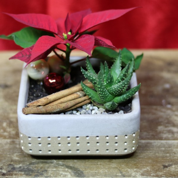 Winterliche Merak Pflanzschale Gold