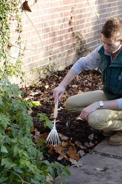 Midhandled Rechen von Burgon & Ball