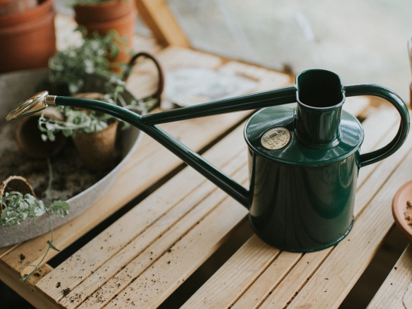 Zimmergießkanne Classic | Royalgrün