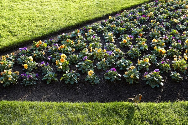 Rasenkanten im englischen Stil