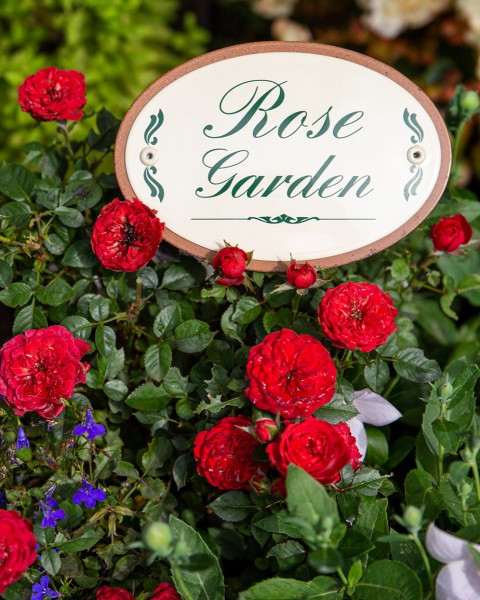 Emailleschild 'Rose Garden'