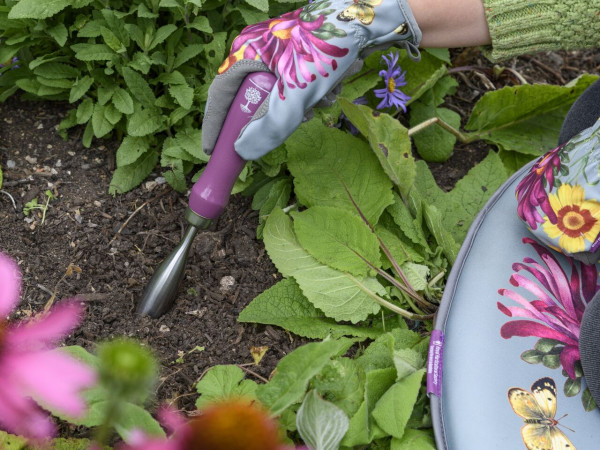 Pflanzstock (Dibber) der Sommeraster-Kollektion, mit Handschuhen und Kniekissen