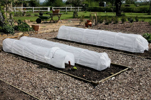 Easy Tunnels kann man nicht genug haben.