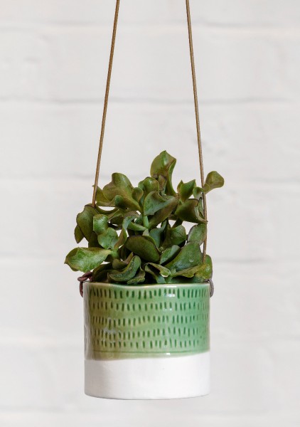 Hänge-Blumentopf 'Pie Crust'
