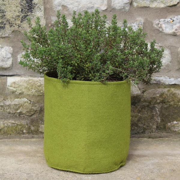 5 Liter Vigoroot Pot