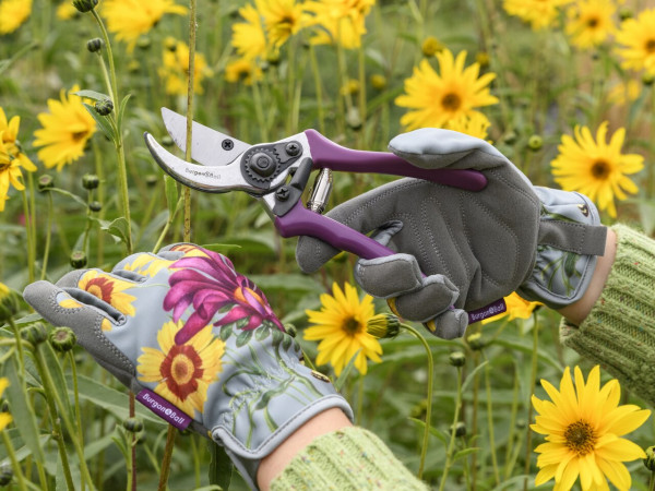 Bypass-Gartenschere aus der Sommeraster Präsentbox