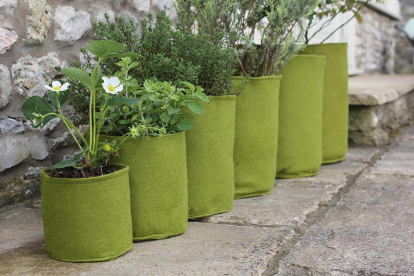 Haxnicks Vigoroot-Pflanztöpfe in verschiedenen Größen