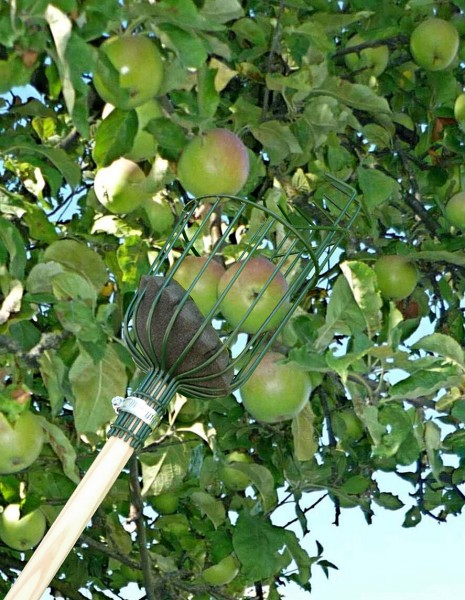 Apple Picker von Burgon & Ball