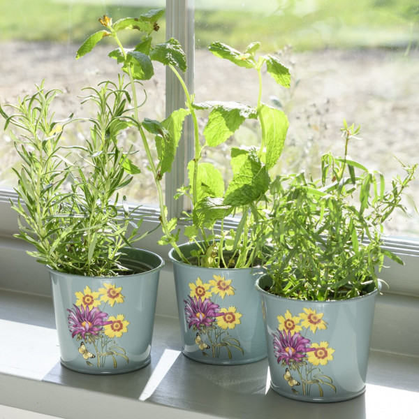 Kräutertöpfe im Set | Design Sommeraster | von Burgon & Ball