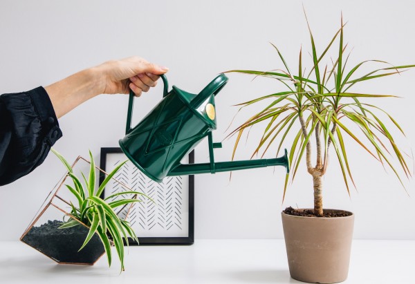 Heritage Kunststoffgießkanne royalgrün