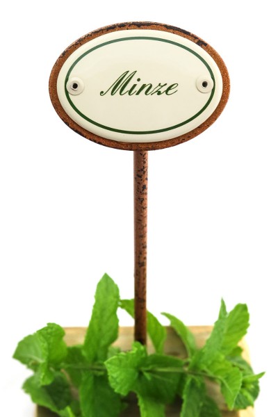 Kräuterstecker Minze