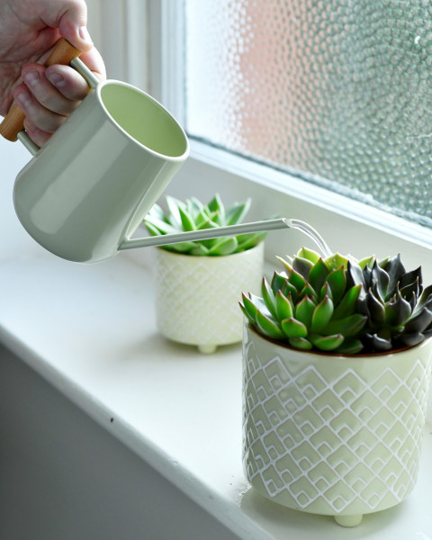 Burgon & Ball Zimmergiesskanne in Pale Jade