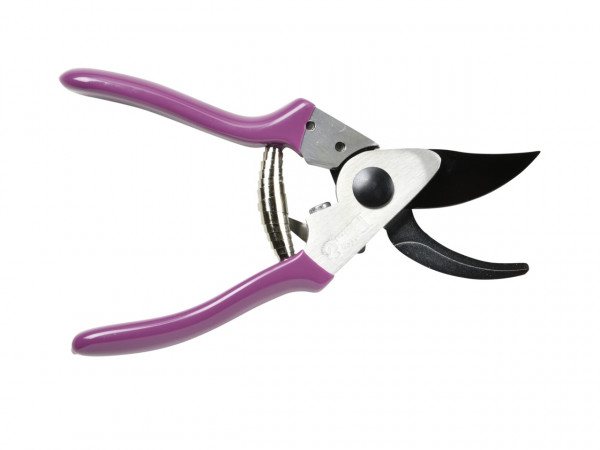 DIE KLEINE Sommeraster-Gartenschere | geöffnet