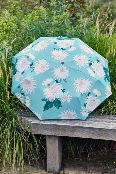Regenschirm Chrysantheme
