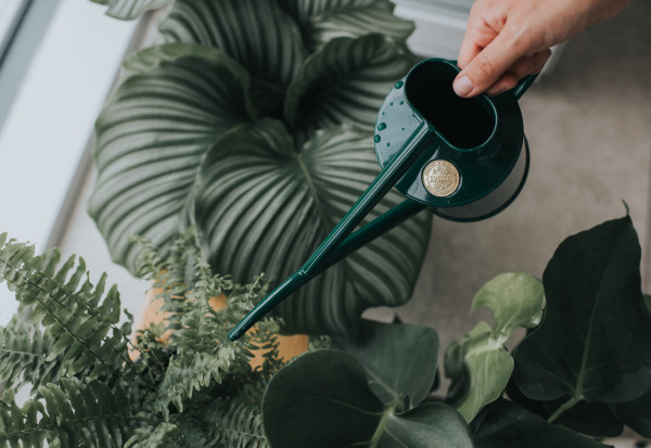 Haws Pot Waterer 2 Pint, Royalgrün