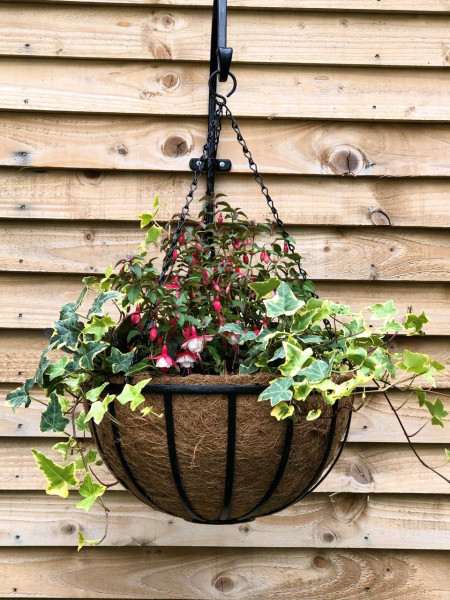 Hanging Basket | Modell Cambridge