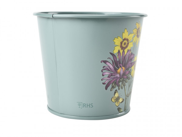 Kräutertopf-Set | RHS-Design Asteraceae - Korbblütler