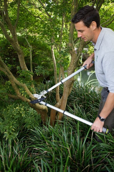 ausziehbare Rasten-Amboss-Astschere