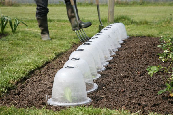 Kleine Viktorianische Gartenglocken