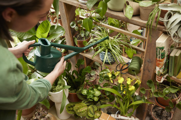 Haws Wintergarten-Kanne 2,25 Liter mit Topfwässerer