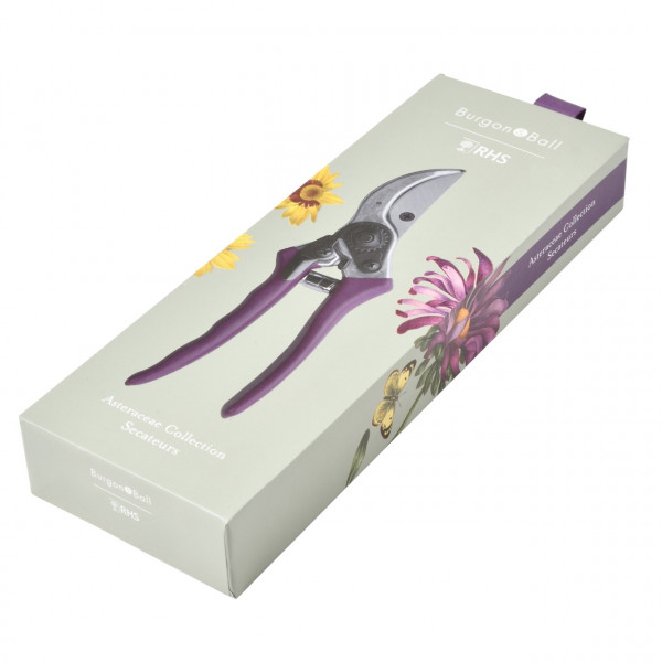 Präsentbox Sommeraster | Gartenschere