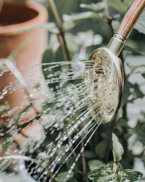 Kleine, ovale Ersatzbrause