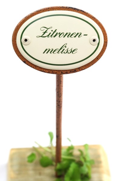 Kräuterstecker Zitronenmelisse