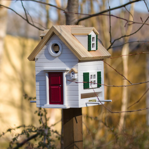 Vogelhaus | 2 in 1 | New England | Nistkasten oder Futterhaus von Wildlife Garden