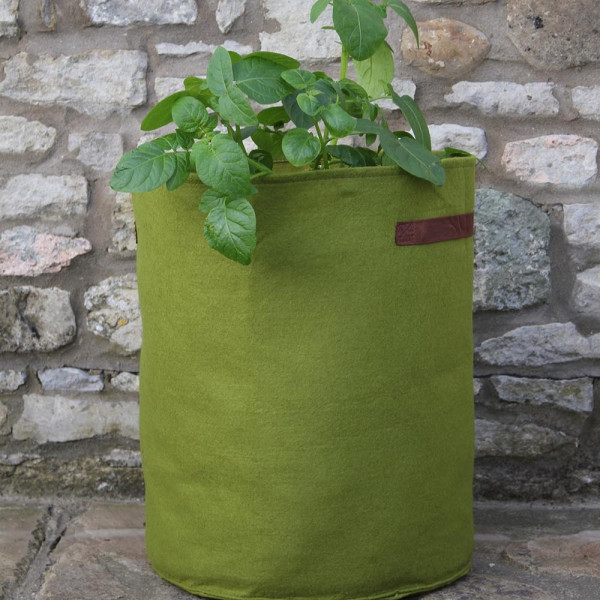 Vigoroot Tomaten/Kartoffel-Pflanztasche