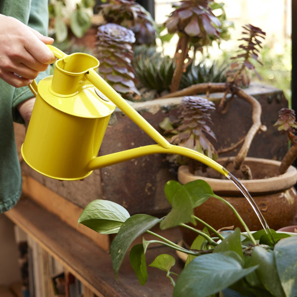 Haws Zimmergießkanne Pot Waterer 2 Pint | Lotusgelb