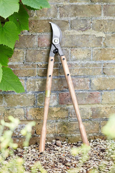 Astschere | Sophie Conran