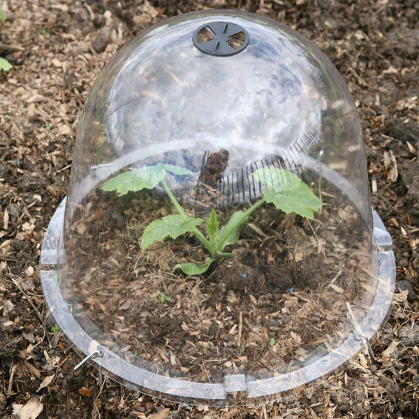 King Size Viktorianische Gartenglocken